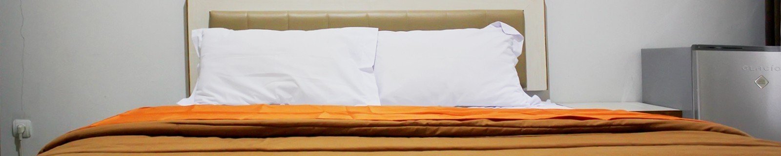 banner-header